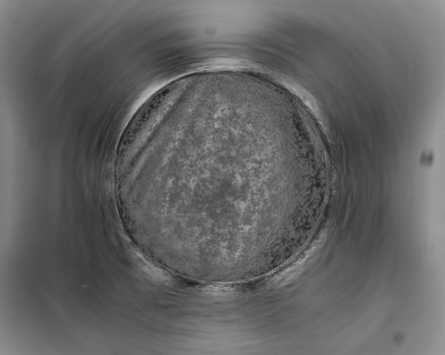 X0000099991473200806131424