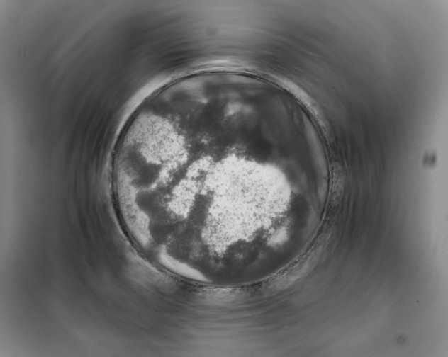 X0000099991474200806131424