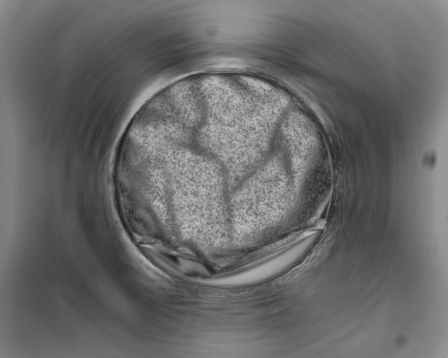 X0000099991475200806131424