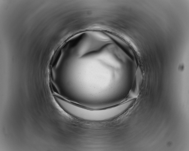 X0000099991476200806131423