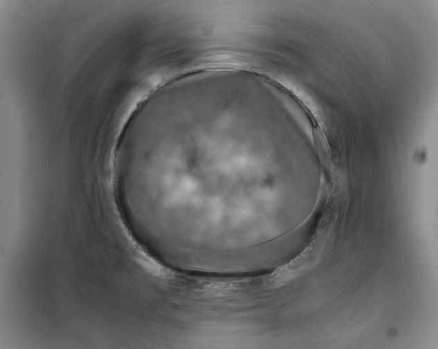 X0000099991477200806131423