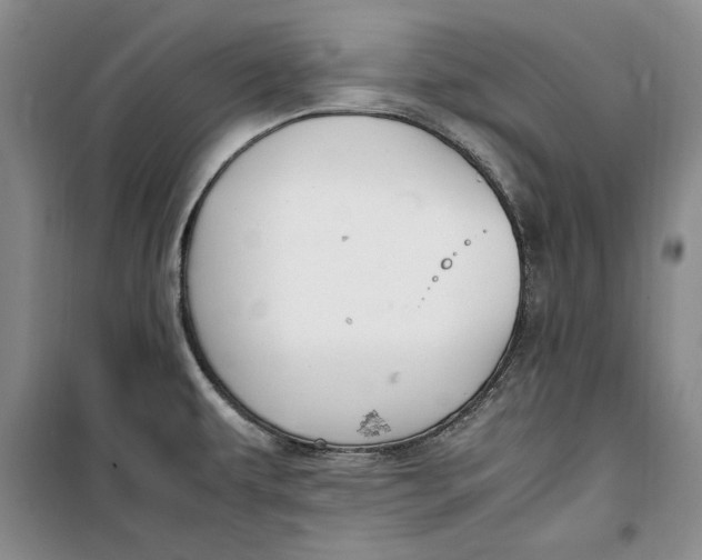 X0000099991479200806131423