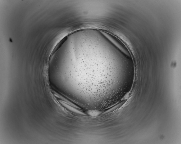 X0000099991481200806131423