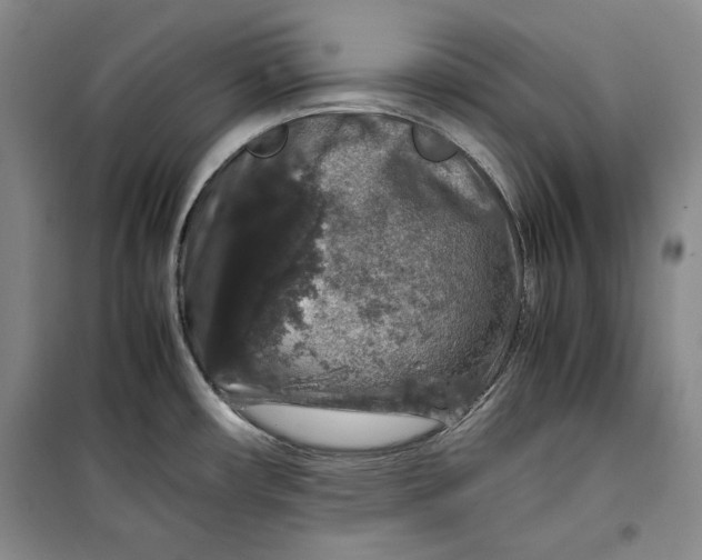 X0000099991482200806131423