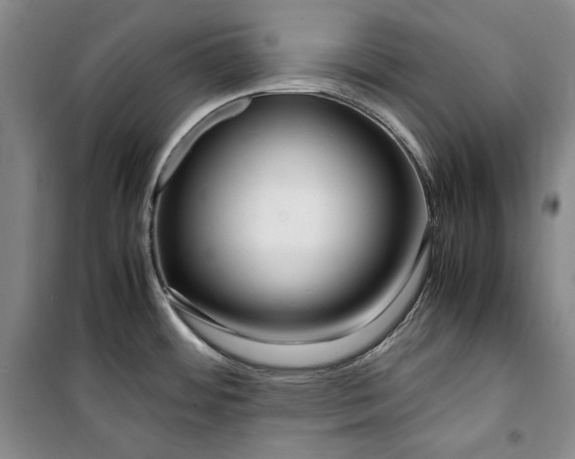 X0000099991484200806131423