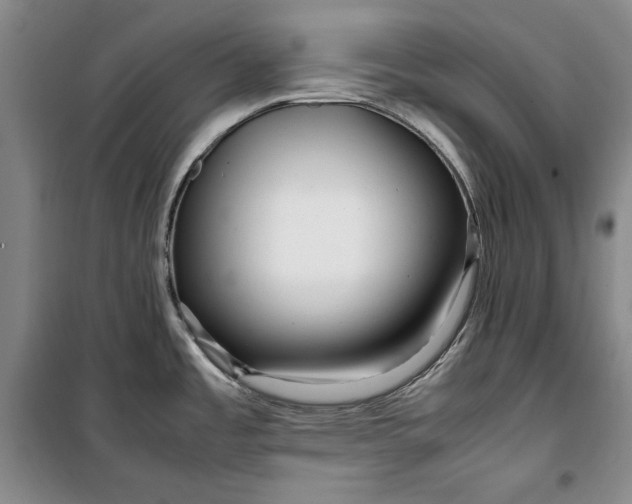 X0000099991485200806131423