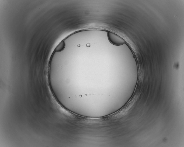 X0000099991486200806131423