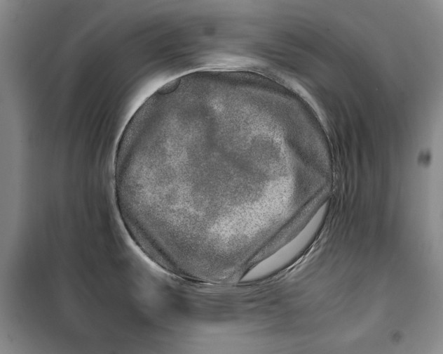 X0000099991487200806131423