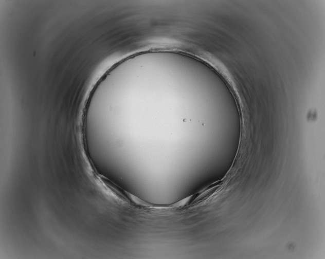 X0000099991488200806131423