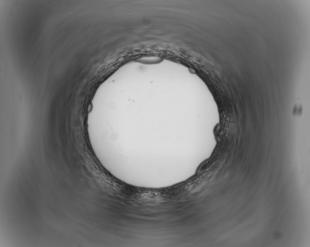 X0000099991489200806131422