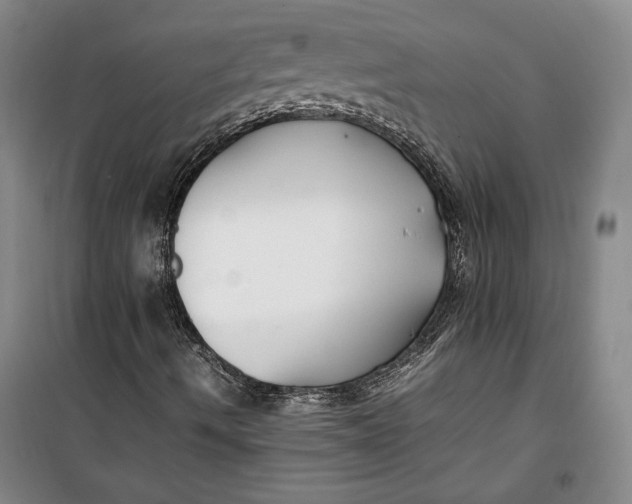 X0000099991490200806131423