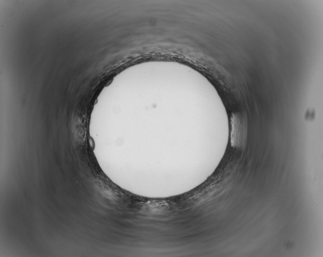 X0000099991491200806131423