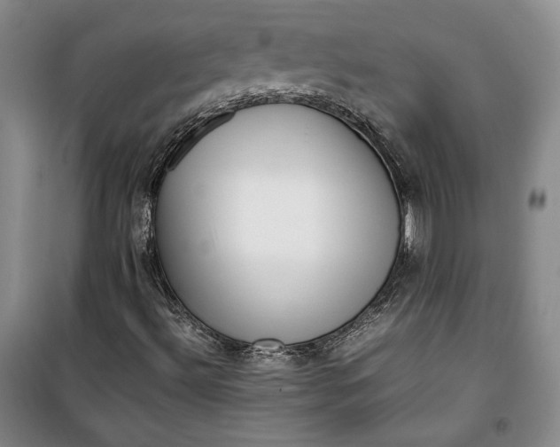 X0000099991492200806131423