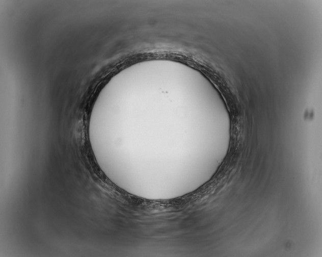 X0000099991493200806131423