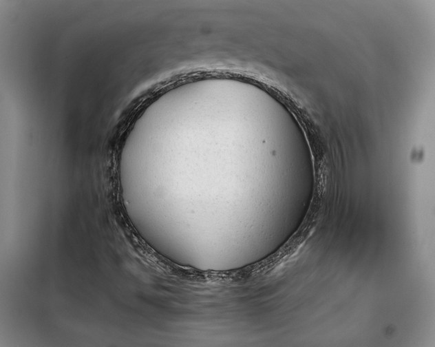 X0000099991494200806131423