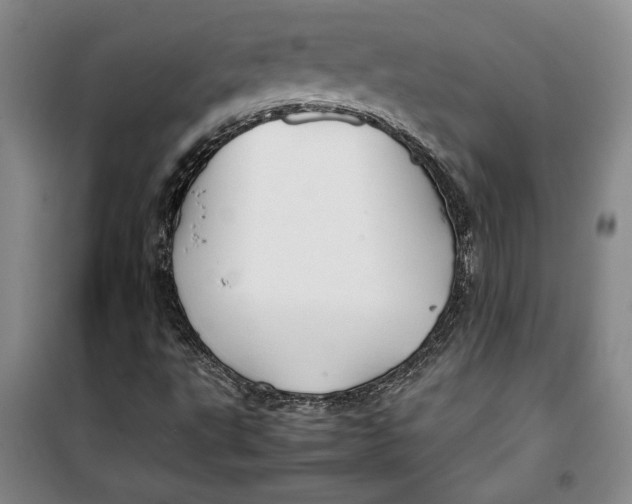 X0000099991495200806131423