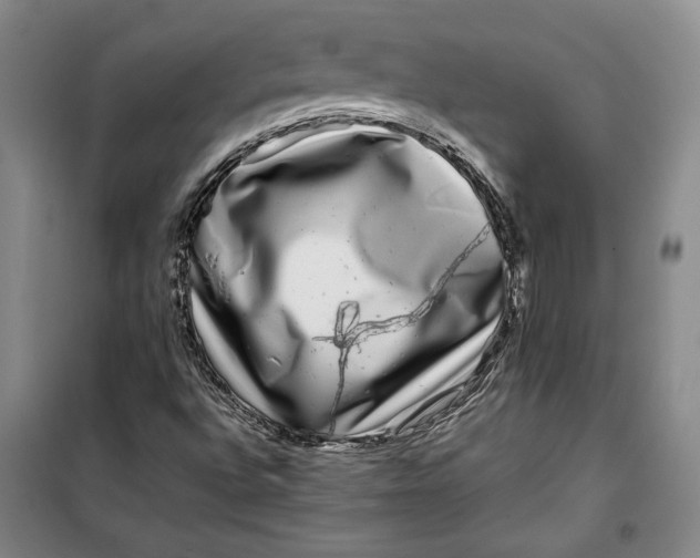 X0000099991496200806131423