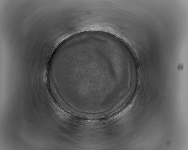 X0000099991497200806131423