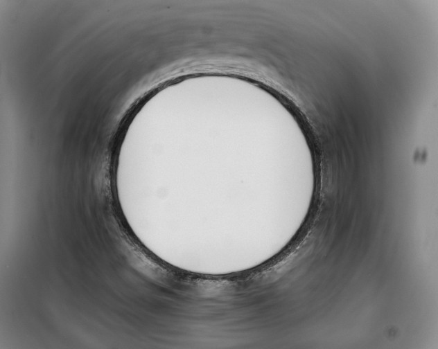 X0000099991498200806131423