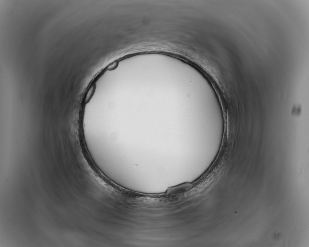 X0000099991500200806131423