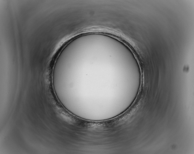 X0000099991501200806131423