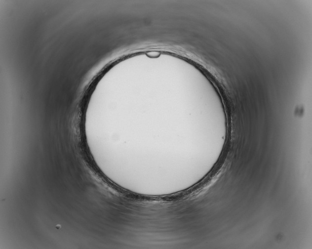 X0000099991502200806131423