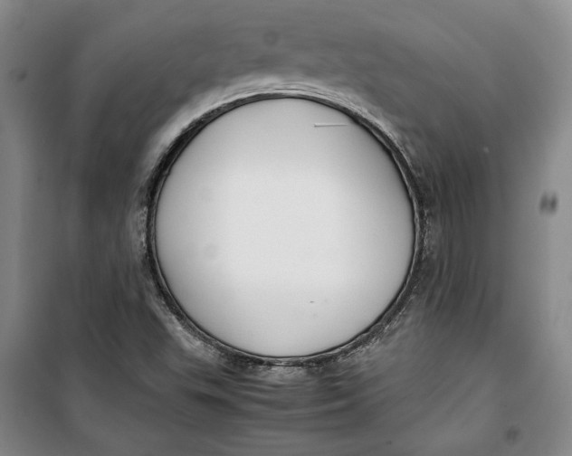 X0000099991503200806131423