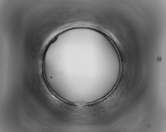 X0000099991504200806131423