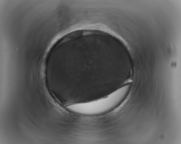 X0000099991506200806131423