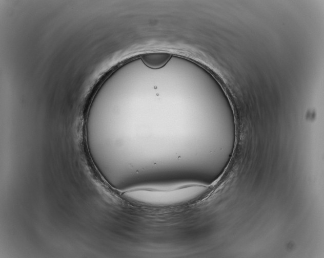 X0000099991507200806131423