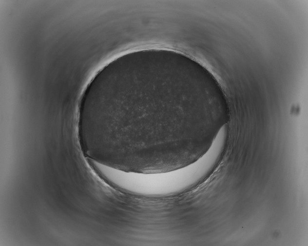 X0000099991508200806131423