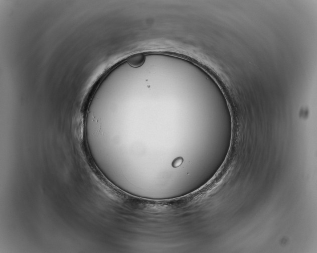 X0000099991509200806131423