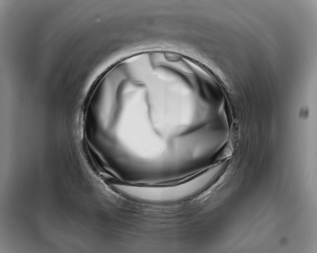 X0000099991510200806131423