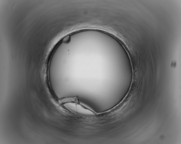 X0000099991511200806131423