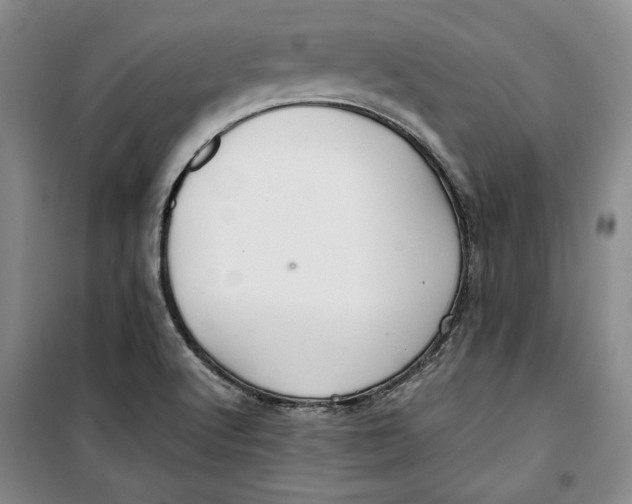 X0000099991512200806131423