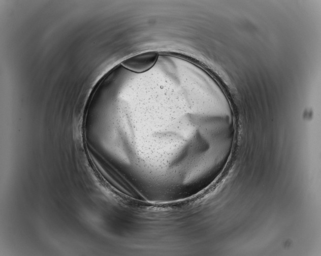 X0000099991513200806131423