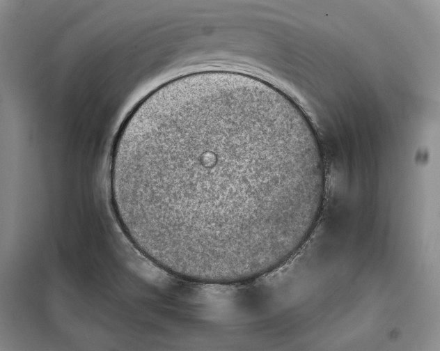 X0000099991514200806131423