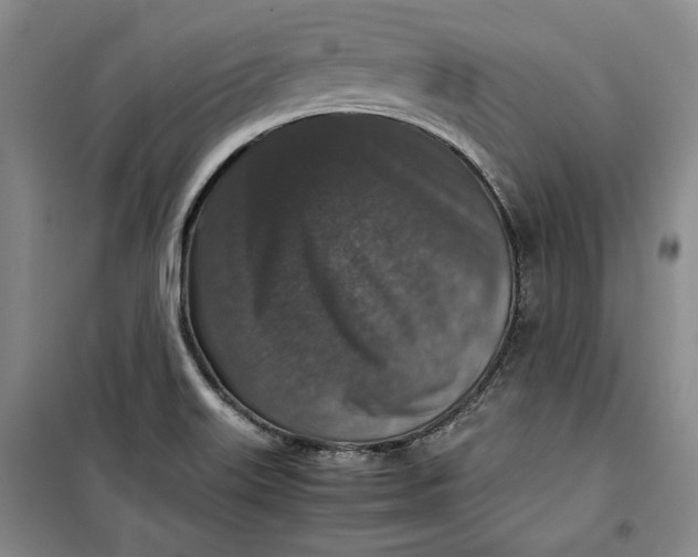 X0000099991515200806131423