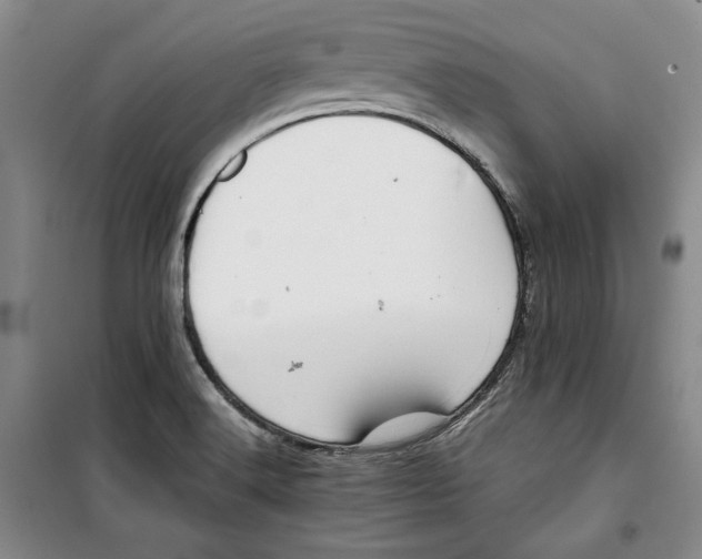 X0000099991516200806131423