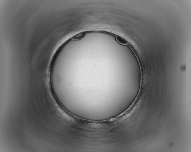 X0000099991517200806131423