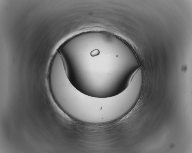 X0000099991518200806131423