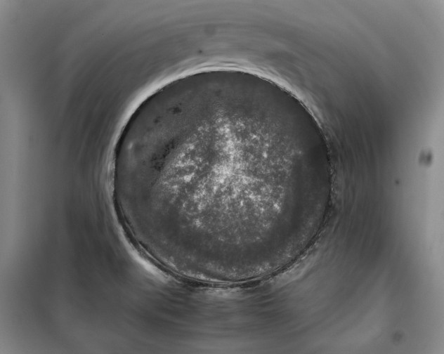 X0000099991519200806131423