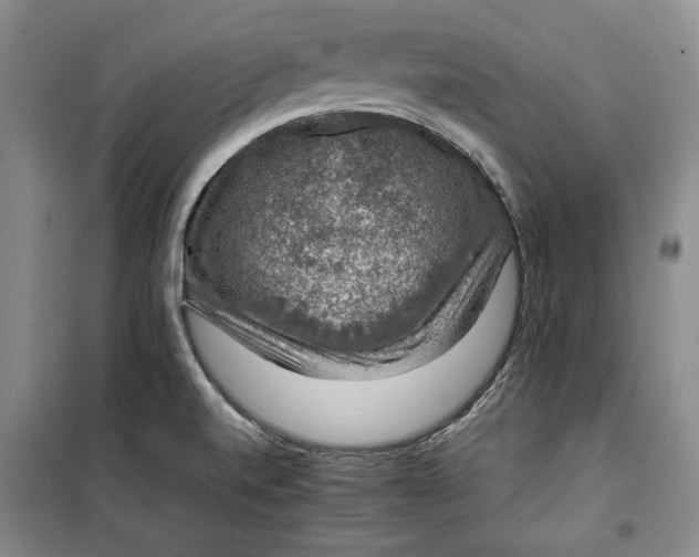 X0000099991520200806131423