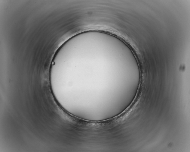 X0000099991521200806131423