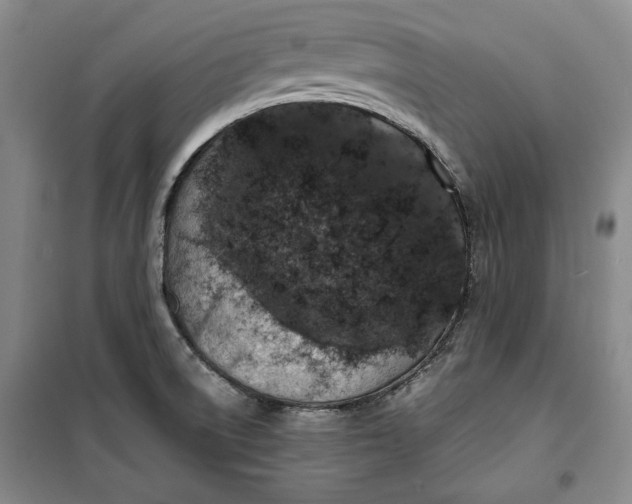 X0000099991522200806131423