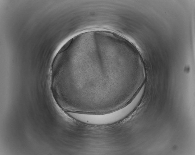 X0000099991524200806131423