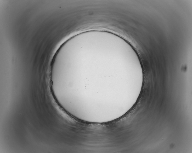 X0000099991526200806131423