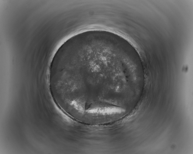 X0000099991527200806131423