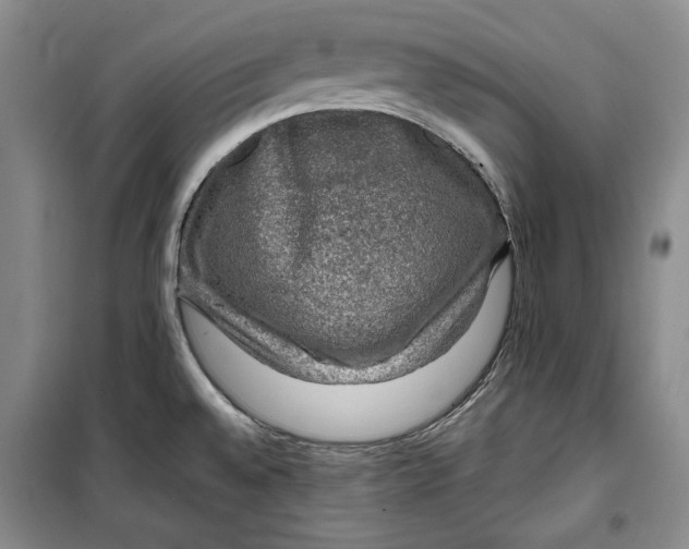 X0000099991528200806131423