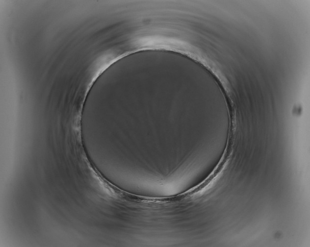 X0000099991529200806131423